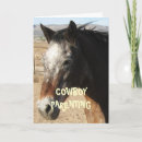 Search for funny horse birthday cards Appaloosa