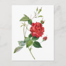 Search for vintage rose postcards Red