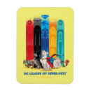Search for league magnets Dc super pets