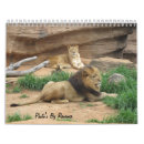 Search for calender calendars Animals