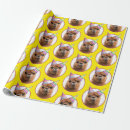 Search for humorous wrapping paper Silly