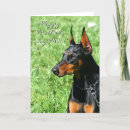 Search for doberman mom postcards Pets