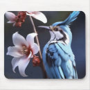 Search for backyard birds mousepads Songbird