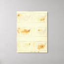 Search for migrate art Colour