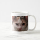 Search for calico kittens mugs Cat