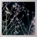 Search for elegant floral posters Minimalist