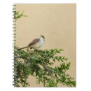 Search for bird print postcards Cute