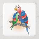 Search for parrot mothers day cards Happy mother's day