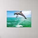 Search for jumping dolphin art Dolphins