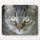 Search for domestic mousepads Cat