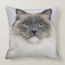 Search for ragdoll cat cushions Cute