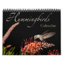 Search for hummingbird calendars Flowers