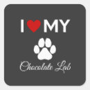 Search for chocolate lab stickers Pets