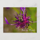 Search for pollinators postcards Garden