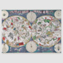 Search for constellation tissue paper Cosmos