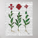 Search for carnation posters Contemporary