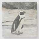 Search for penguin barware Party