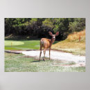 Search for deer art Hunt