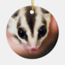Search for sugar glider christmas tree decorations Suggie
