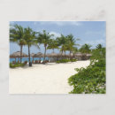 Search for cozumel postcards Beach