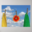 Search for clothespin posters Laundry
