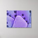 Search for colour effect canvas prints Nobody