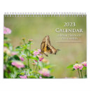 Search for ladybug calendars Nature
