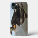 Search for john ipad cases Birds of america