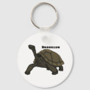 Search for galapagos islands key rings Tortoise