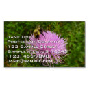 Search for thistles business cards Purple