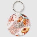 Search for jellyfish key rings Ernst haeckel