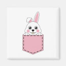 Search for pocket magnets Pet