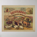Search for packers posters Advertising