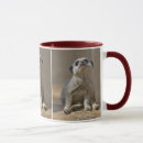 Search for kat mugs Animal