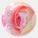 Search for bridalshower stickers Bride