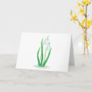Search for snowdrop cards Galanthus