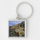 Search for column key rings Landscape