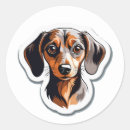 Search for dachshund stickers Wiener dog