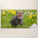 Search for fox beach towels Cute