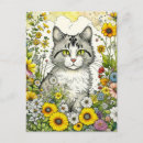 Search for white grey postcards Cat