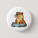 Search for beaver badges Wildlife
