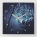 Search for wolf clocks Winter