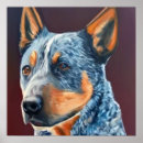 Search for stumpy tail Pet