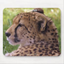 Search for wildlife mousepads Endangered species