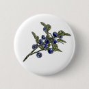 Search for blueberry badges Nature