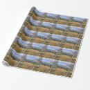 Search for rural wrapping paper Mountains