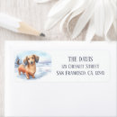 Search for dachshund dog return address labels Watercolor