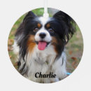 Search for papillon christmas tree decorations Animal