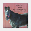 Search for filly magnets Pony