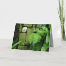 Search for zen stone cards Nature